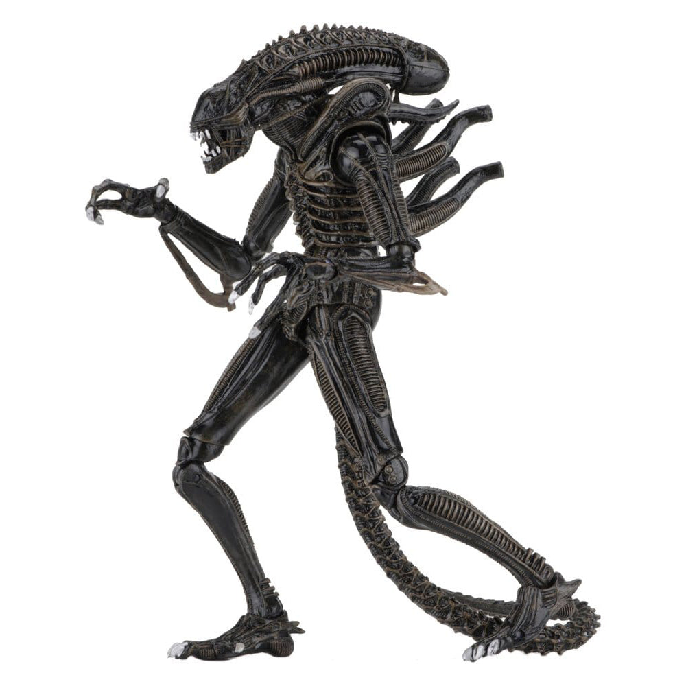 Aliens Ultimate Actionfigur Warrior (1986) Brown 23 cm PRE-ORDER