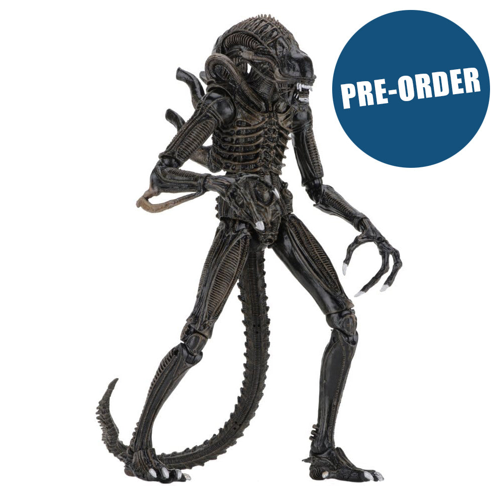 Aliens Ultimate Actionfigur Warrior (1986) Brown 23 cm PRE-ORDER