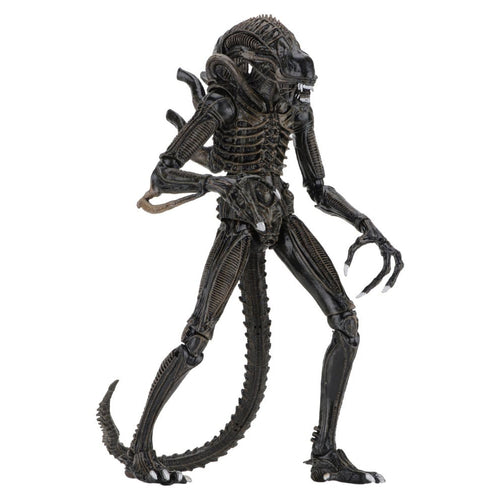 Aliens Ultimate Actionfigur Warrior (1986) Brown 23 cm PRE-ORDER