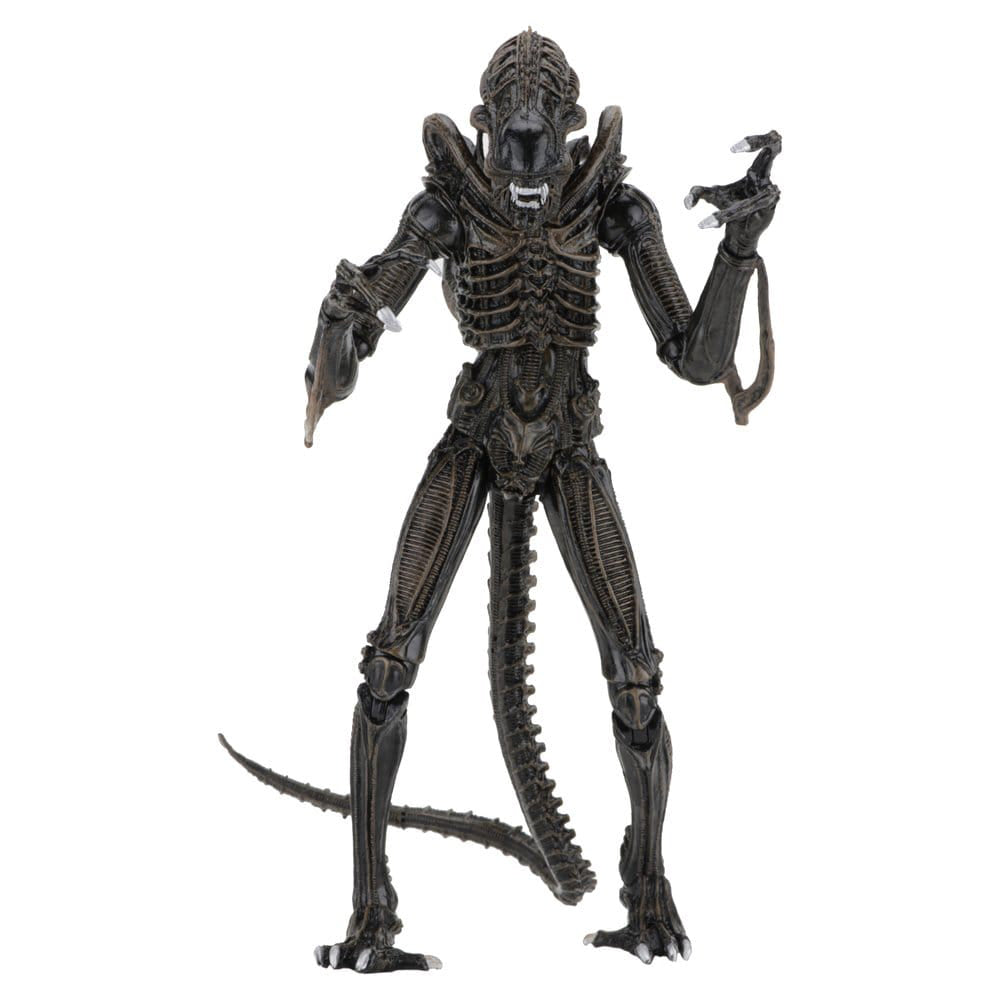 Aliens Ultimate Actionfigur Warrior (1986) Brown 23 cm PRE-ORDER