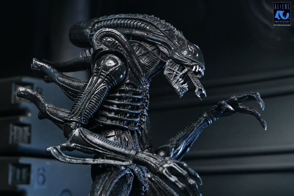 Aliens Ultimate Actionfigur Warrior (1986) Xenomorph Black (40th Anniversary) 23 cm PRE-ORDER