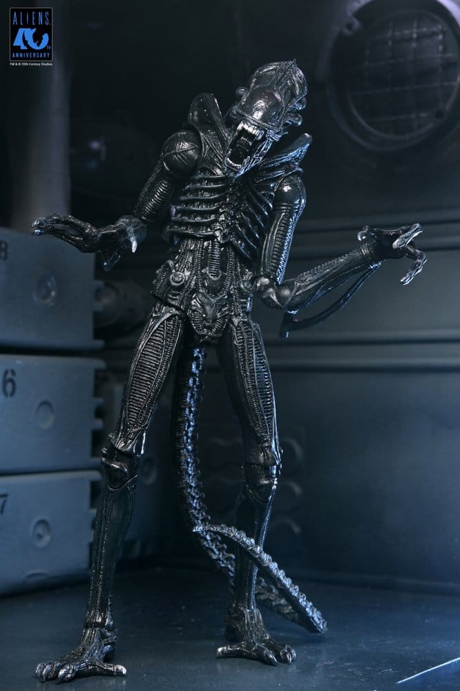 Aliens Ultimate Actionfigur Warrior (1986) Xenomorph Black (40th Anniversary) 23 cm PRE-ORDER