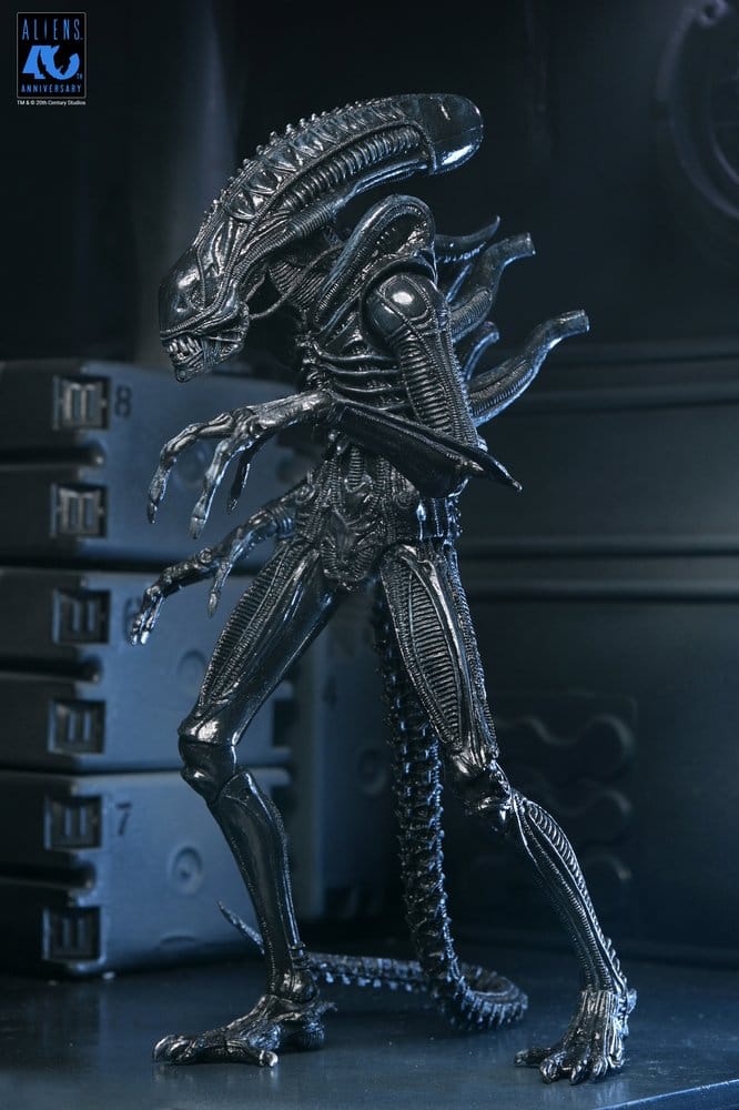 Aliens Ultimate Actionfigur Warrior (1986) Xenomorph Black (40th Anniversary) 23 cm PRE-ORDER