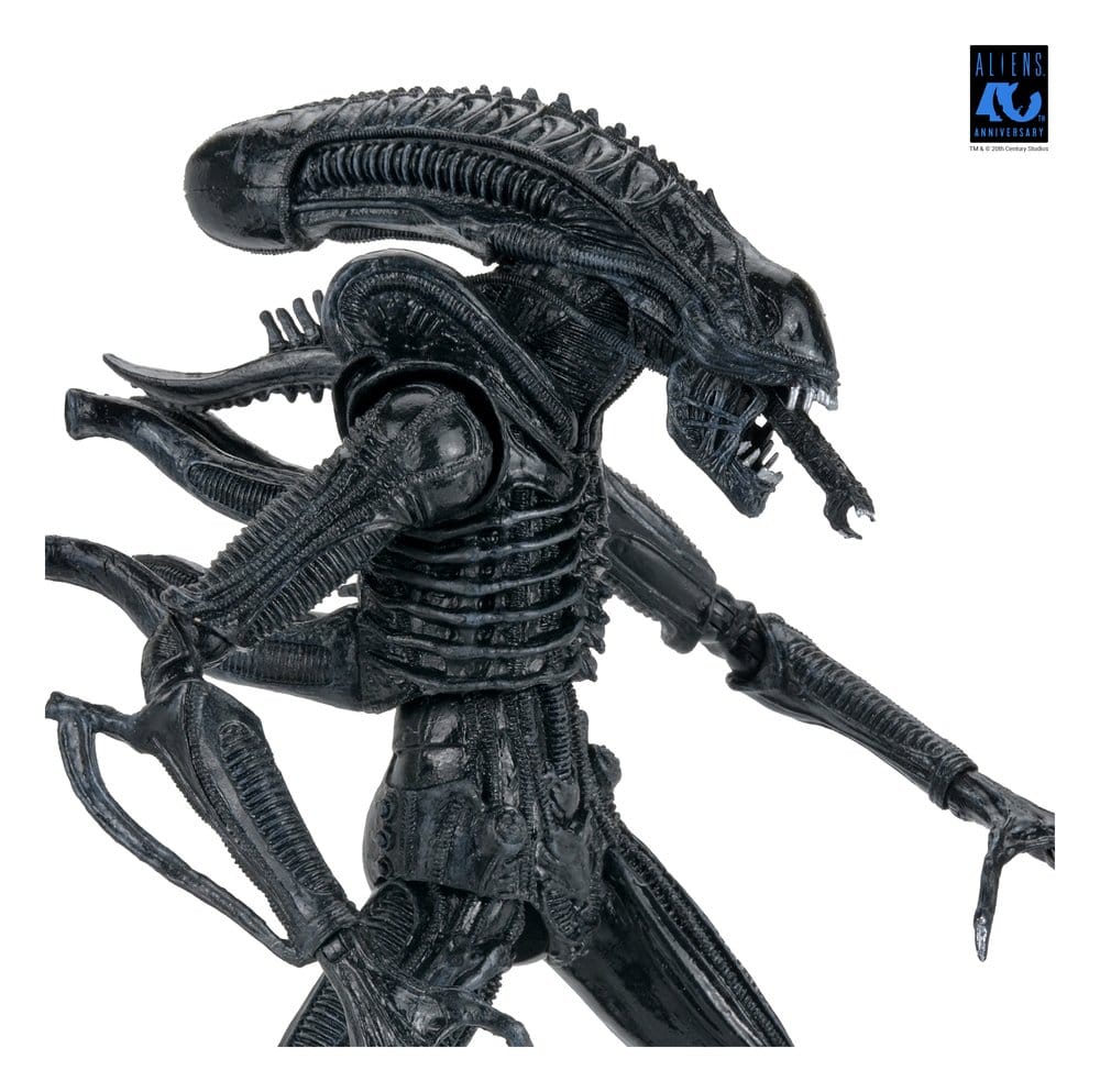 Aliens Ultimate Actionfigur Warrior (1986) Xenomorph Black (40th Anniversary) 23 cm PRE-ORDER