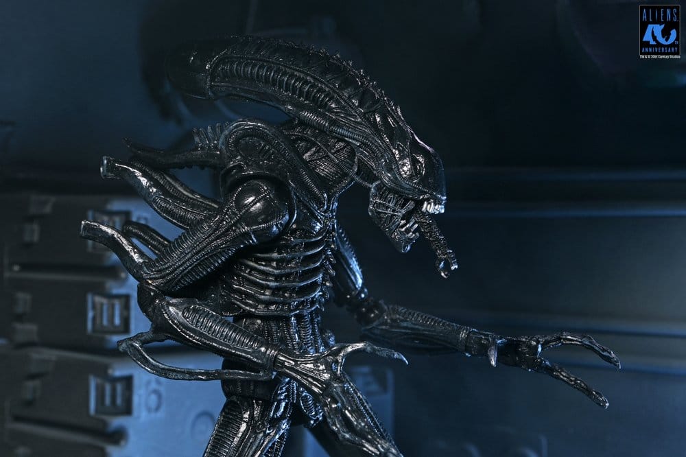 Aliens Ultimate Actionfigur Warrior (1986) Xenomorph Black (40th Anniversary) 23 cm PRE-ORDER