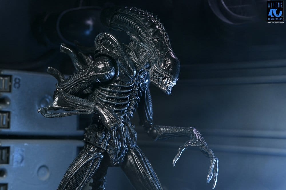 Aliens Ultimate Actionfigur Warrior (1986) Xenomorph Black (40th Anniversary) 23 cm PRE-ORDER