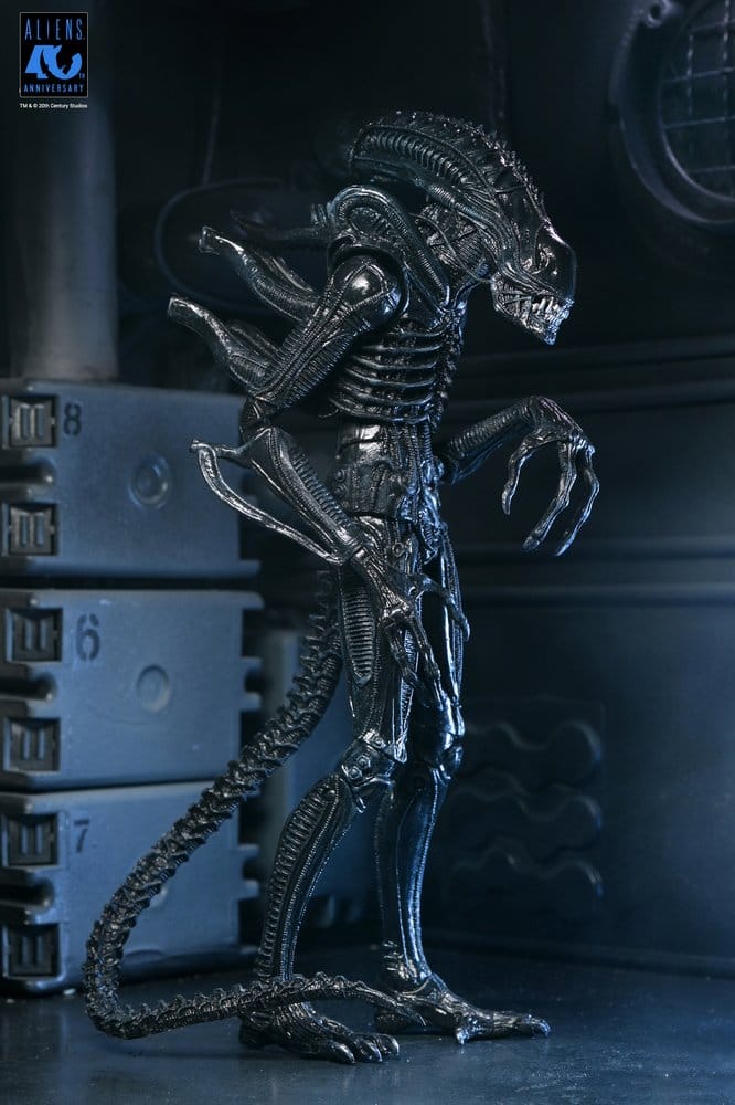 Aliens Ultimate Actionfigur Warrior (1986) Xenomorph Black (40th Anniversary) 23 cm PRE-ORDER