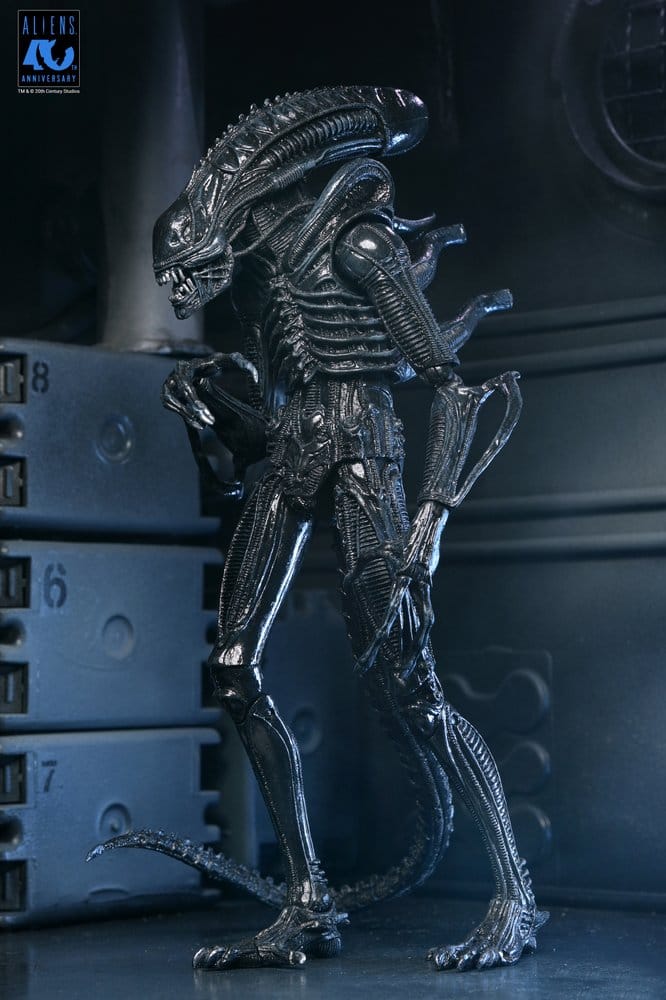 Aliens Ultimate Actionfigur Warrior (1986) Xenomorph Black (40th Anniversary) 23 cm PRE-ORDER