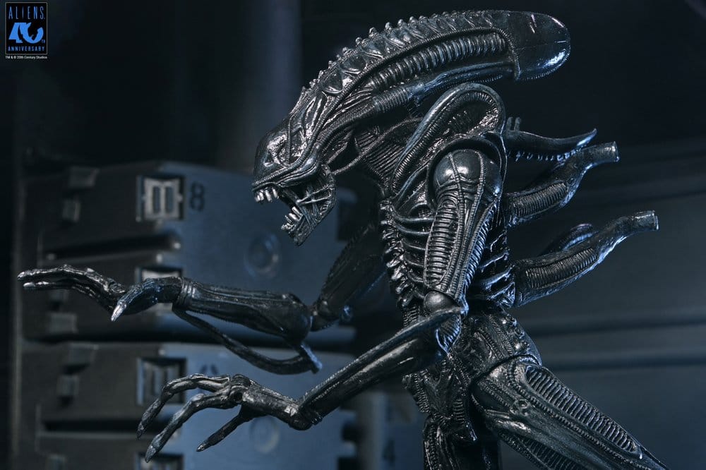 Aliens Ultimate Actionfigur Warrior (1986) Xenomorph Black (40th Anniversary) 23 cm PRE-ORDER