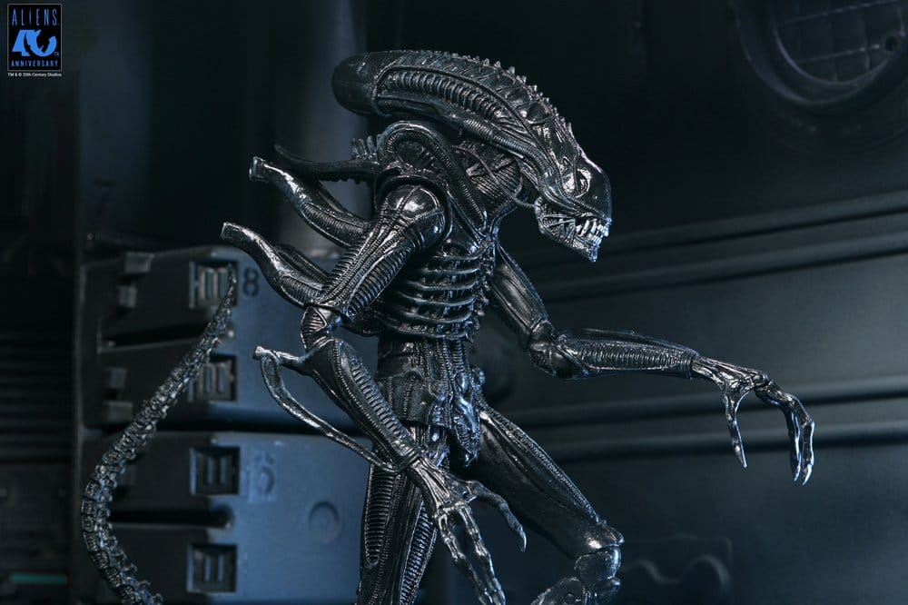 Aliens Ultimate Actionfigur Warrior (1986) Xenomorph Black (40th Anniversary) 23 cm PRE-ORDER