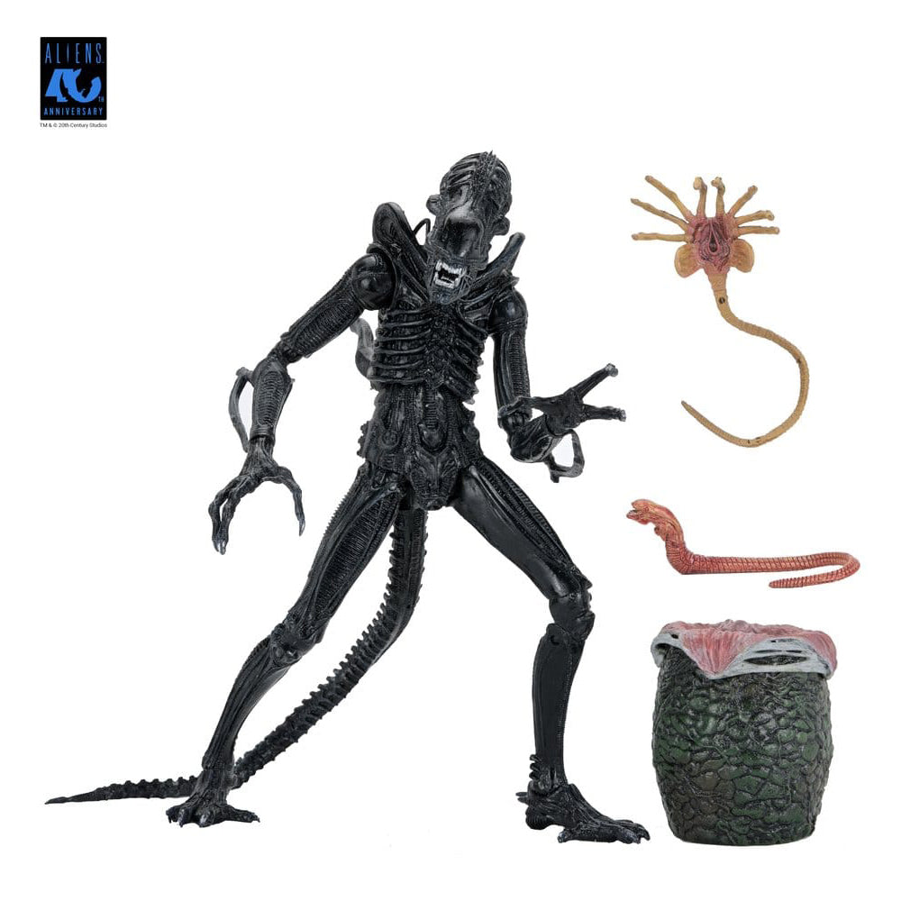 Aliens Ultimate Actionfigur Warrior (1986) Xenomorph Black (40th Anniversary) 23 cm PRE-ORDER