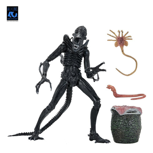 Aliens Ultimate Actionfigur Warrior (1986) Xenomorph Black (40th Anniversary) 23 cm PRE-ORDER