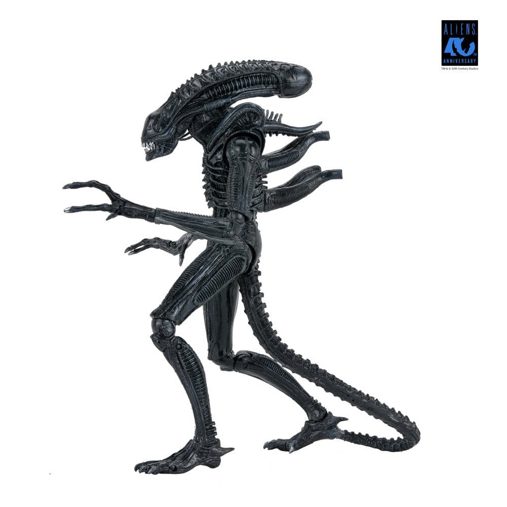 Aliens Ultimate Actionfigur Warrior (1986) Xenomorph Black (40th Anniversary) 23 cm PRE-ORDER