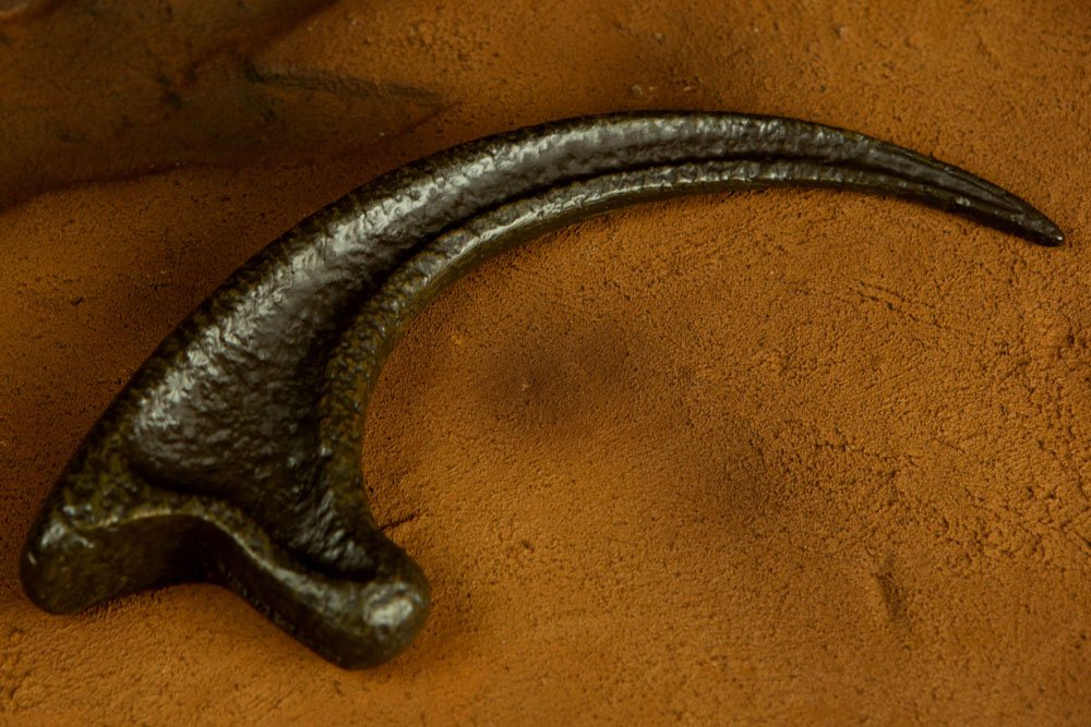 Jurassic Park Replik 1/1 Velociraptor Kralle