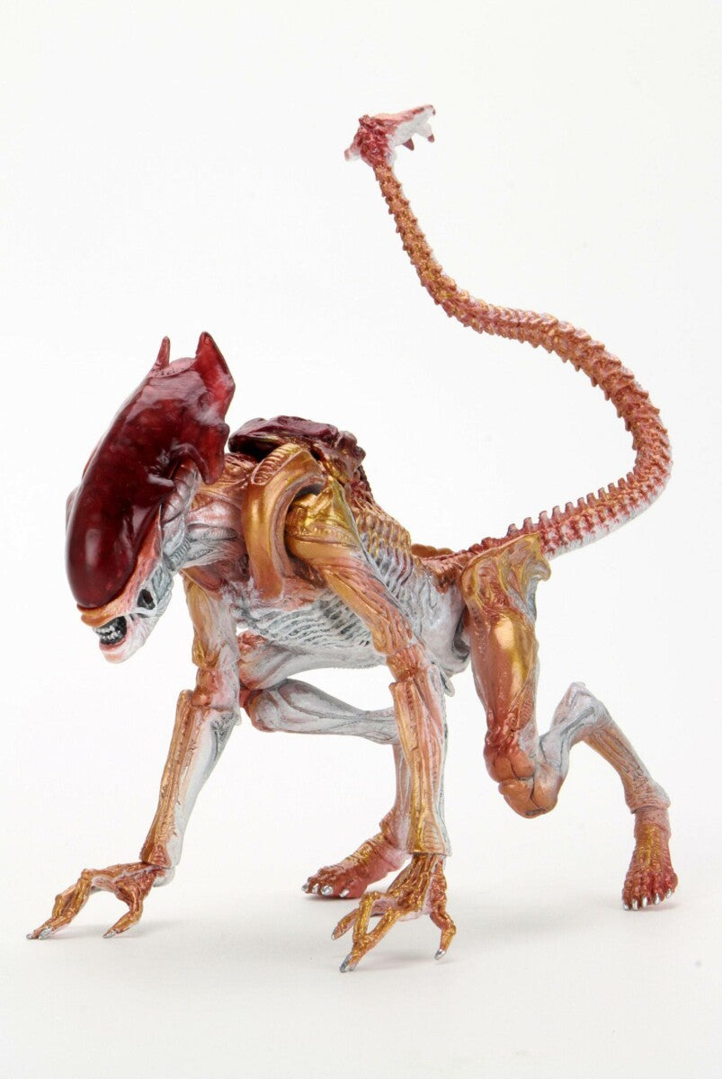 Aliens Actionfigur Panther Alien (Kenner Tribute) 23 cm
