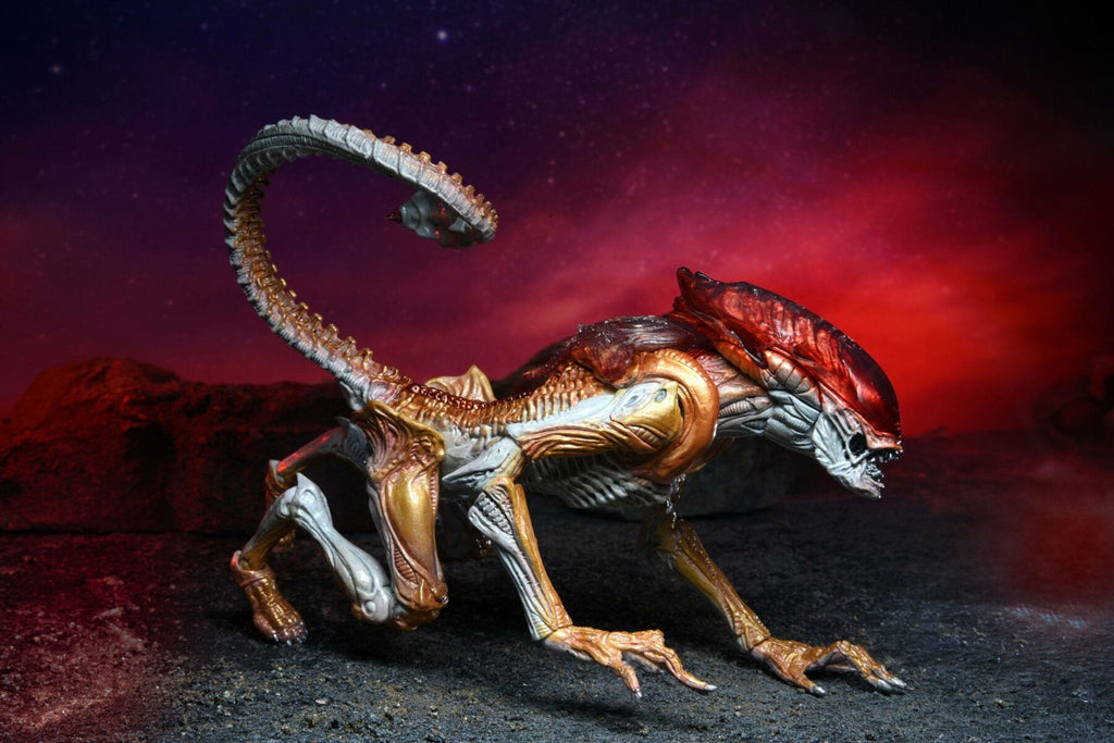 Aliens Actionfigur Panther Alien (Kenner Tribute) 23 cm