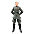 Grand Moff Tarkin Star Wars Episode IV Black Series Archive Actionfigur 2022 15 cm