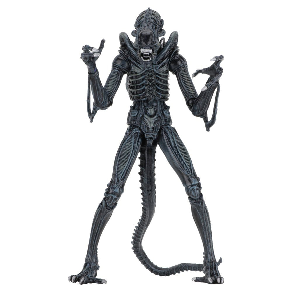 Aliens Ultimate Actionfigur Warrior (1986) Blue 23 cm PRE-ORDER