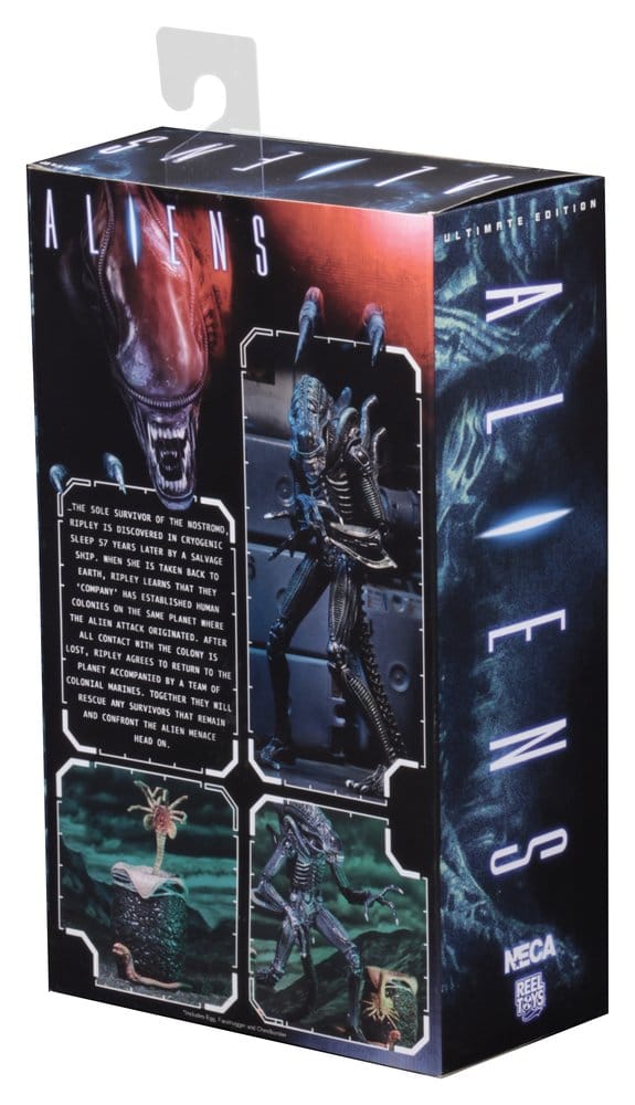 Aliens Ultimate Actionfigur Warrior (1986) Blue 23 cm PRE-ORDER