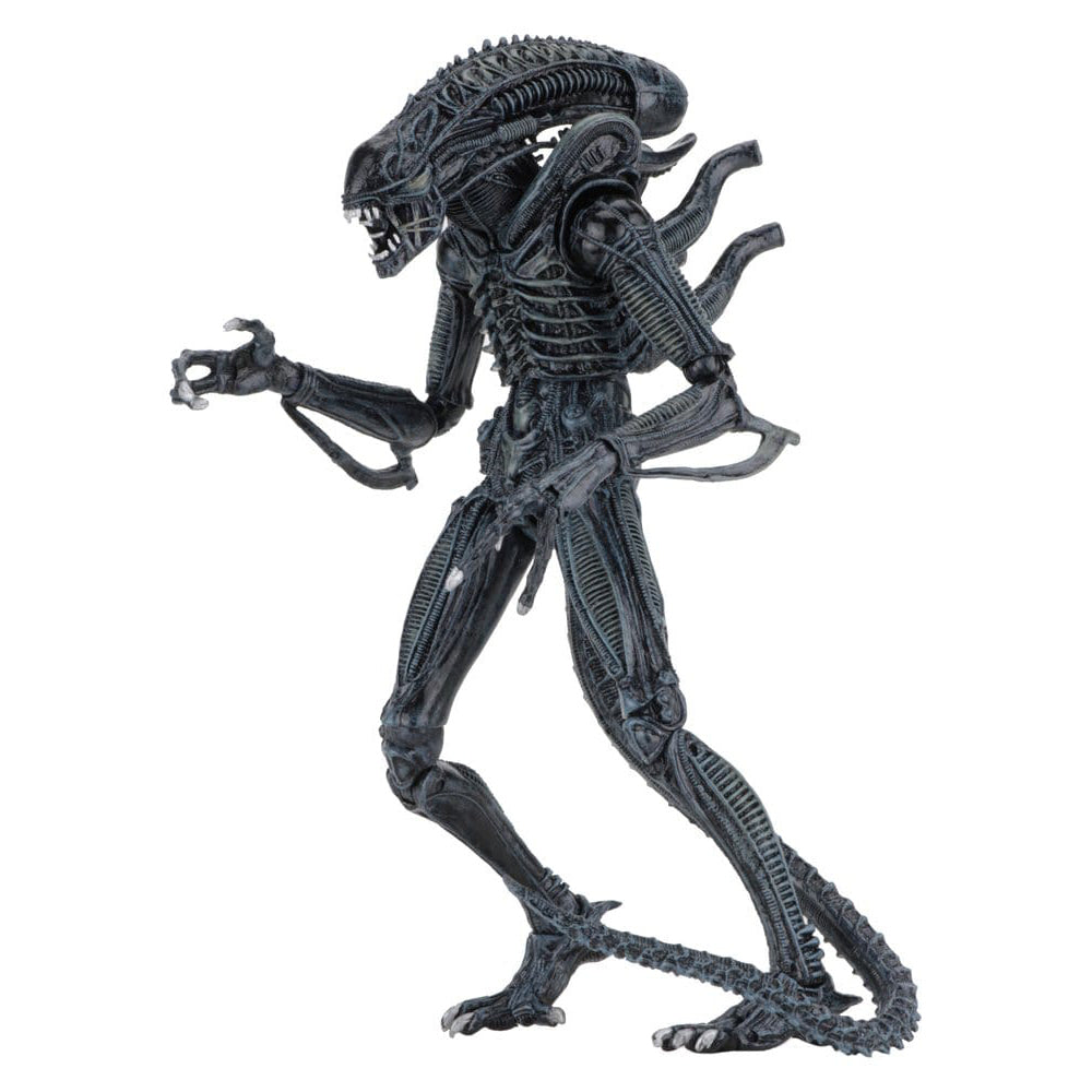Aliens Ultimate Actionfigur Warrior (1986) Blue 23 cm PRE-ORDER