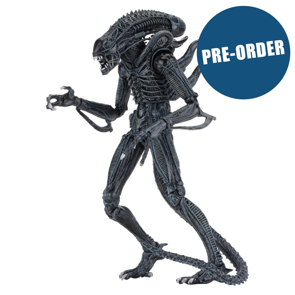 Aliens Ultimate Actionfigur Warrior (1986) Blue 23 cm PRE-ORDER
