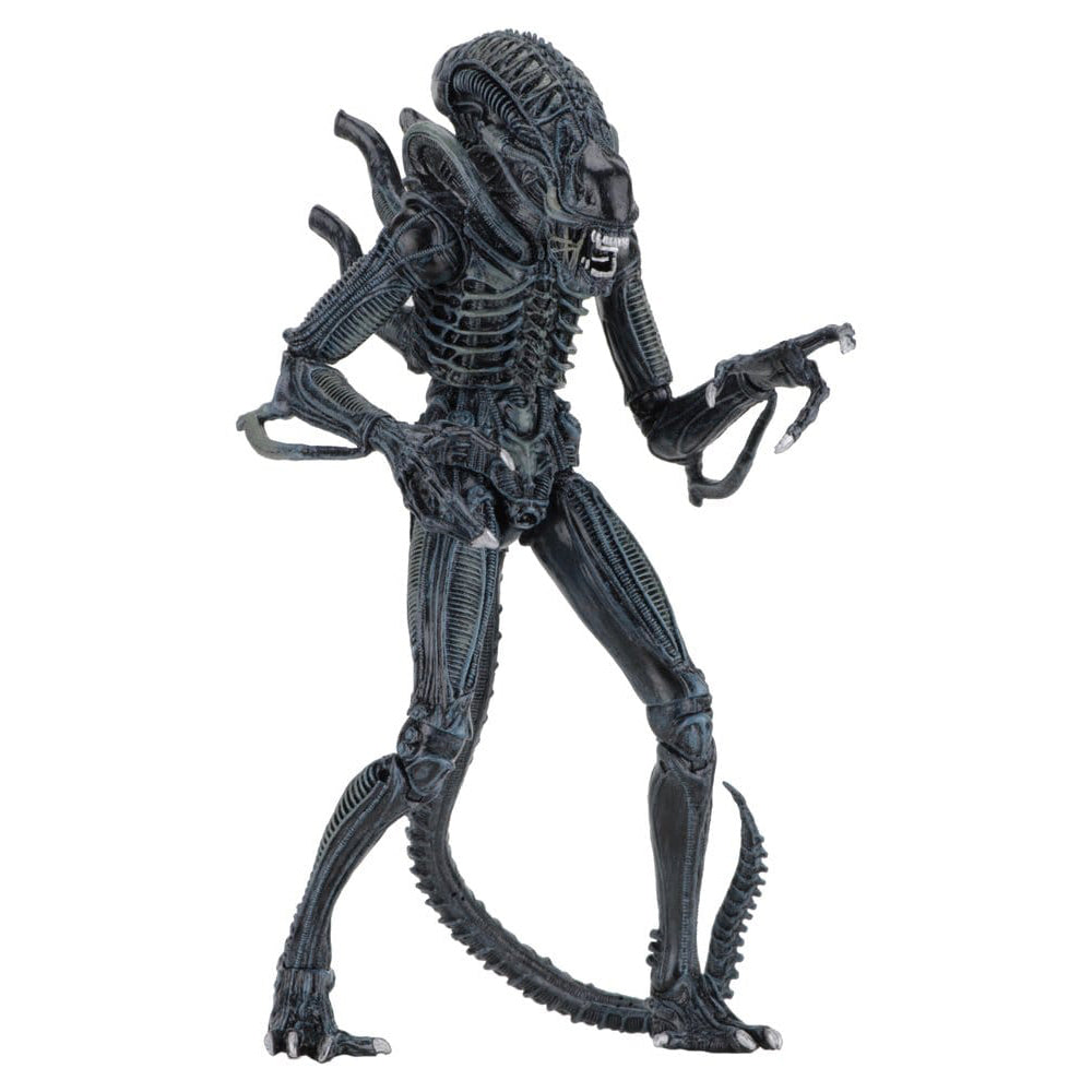Aliens Ultimate Actionfigur Warrior (1986) Blue 23 cm PRE-ORDER